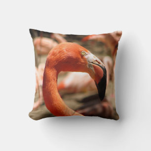 Gorgeous Flamingo Pillow! Cushion