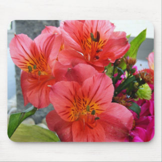 Gorgeous Flowers Mouse Pad