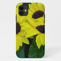GORGEOUS GARDEN SUNFLOWERS