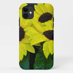 GORGEOUS GARDEN SUNFLOWERS Case-Mate iPhone CASE