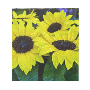 GORGEOUS GARDEN SUNFLOWERS NOTEPAD