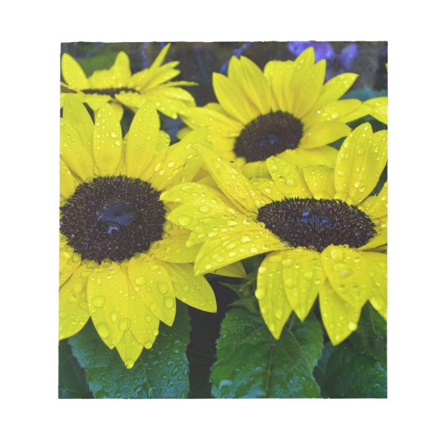 GORGEOUS GARDEN SUNFLOWERS NOTEPAD (Front)
