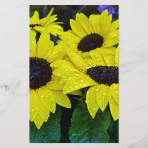 GORGEOUS GARDEN SUNFLOWERS STATIONERY