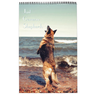 Gorgeous German Shepherd Calendar
