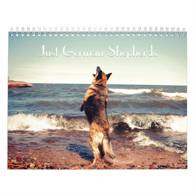 Gorgeous German Shepherd Calendar (Cover)