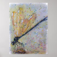 Gorgeous Glowing Dragon Fly