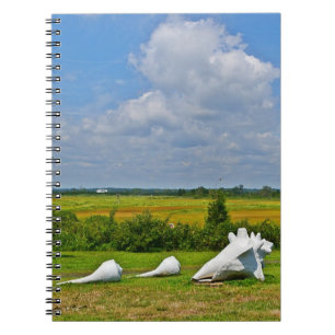 Gorgeous Hammonasset Notebook
