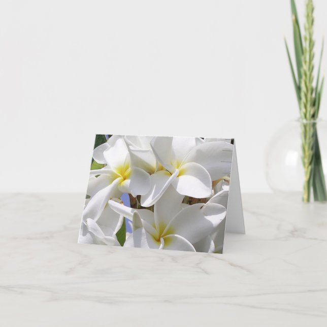 Gorgeous Hawaiian Plumeria Note Card (Front)