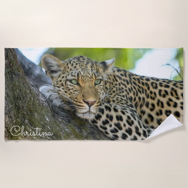 Gorgeous Leopard in a Tree Personalised Beach Towel (Front)