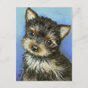 Gorgeous little Yorkie Postcard