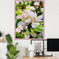 Gorgeous Malus asiatica Photo