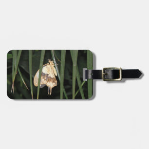 Gorgeous Moth Custom Luggage Tag