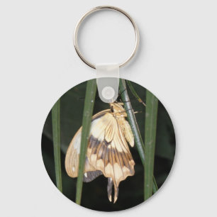 Gorgeous Moth Keychain