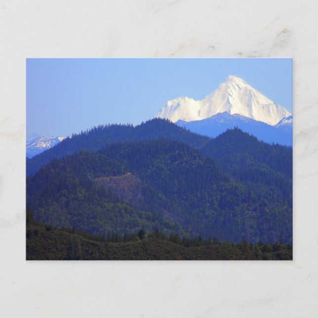 Gorgeous Mount Shasta.... Postcard (Front)