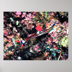 Gorgeous Nudi Poster