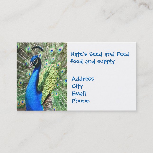Gorgeous Peacock Business Card (Front)