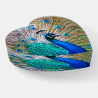 Gorgeous Peacock Gifts for Her, Peacock