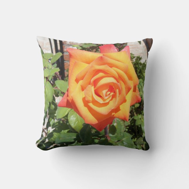 Gorgeous Pillow w/ Orange Rose from Balboa Island (Front)