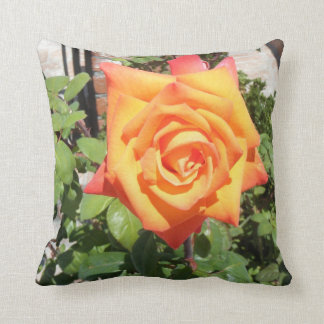 Gorgeous Pillow w/ Orange Rose from Balboa Island