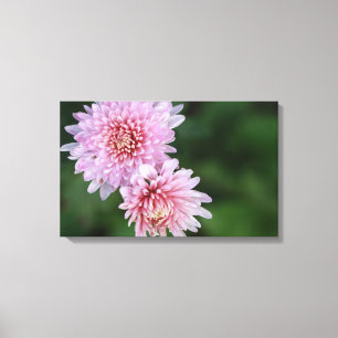 Gorgeous Pink Flowers Stretched Canvas Print