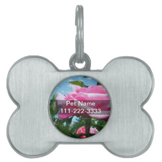Gorgeous pink rose in blue sky. Floral photography Pet Name Tag