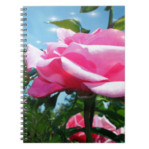 Gorgeous pink rose in blue sky. Floral photography Spiral Notebook