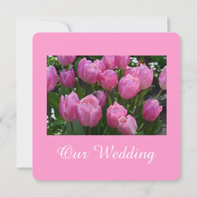Gorgeous pink tulip flowerswedding invitation (Back)