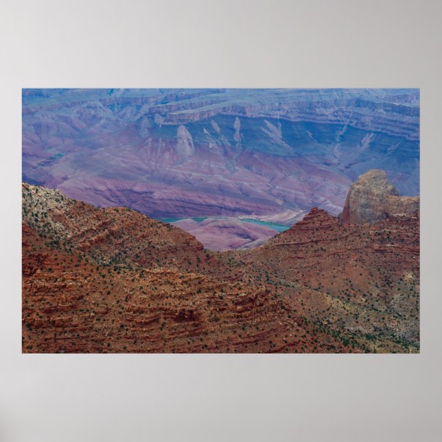 Gorgeous Point 4876 Print (Front)