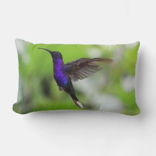 Gorgeous purple hummingbird pillow