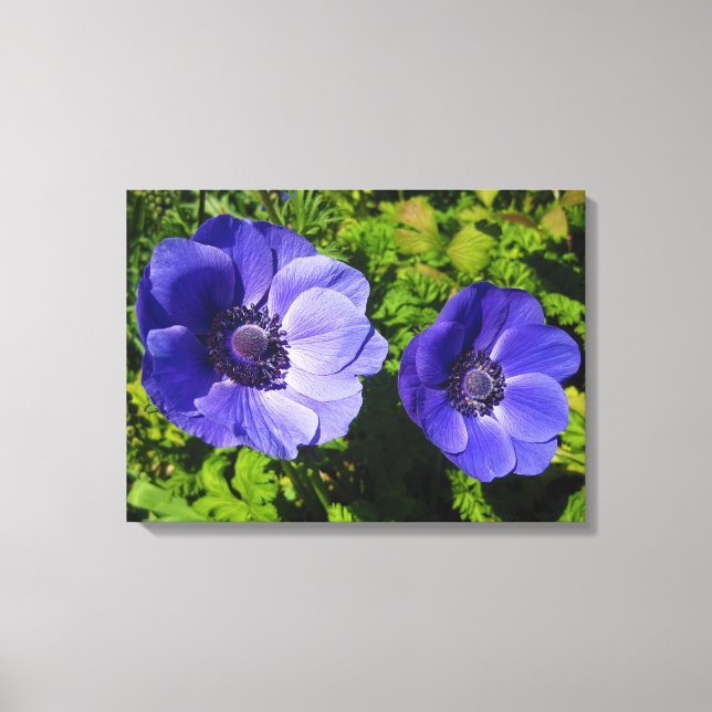 Gorgeous Purple Poppy Floral Wrapped Canvas Prints (Front)