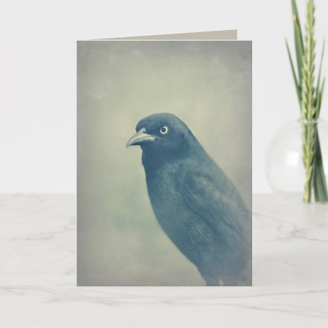 Gorgeous Raven Photo Card (Front)