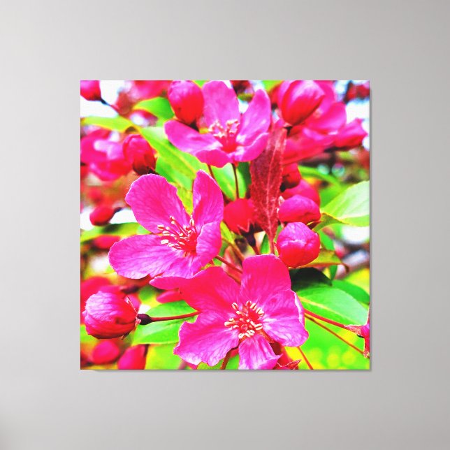Gorgeous Red Barron Crabapple Photo Canvas Print (Front)