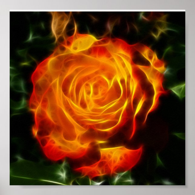 Gorgeous Rose on Fire Poster (Front)