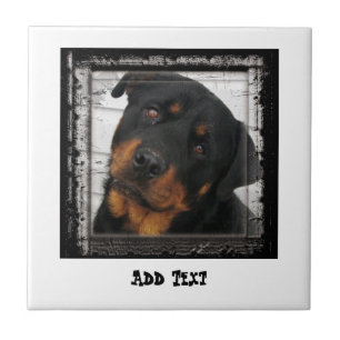 Gorgeous Rottweiler Dog face personalised Tile