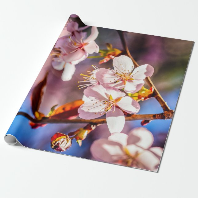 Gorgeous Sakura Blossoms Wrapping Paper (Unrolled)