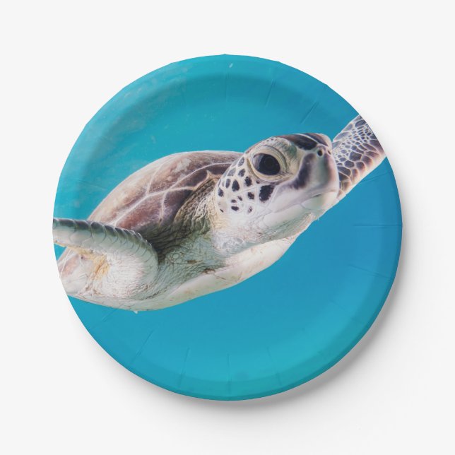 Gorgeous Sea Turtle Swimming in the Ocean Paper Plate (Front)