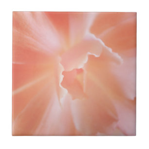 Gorgeous Soft Salmon Coloured Begonia Tile