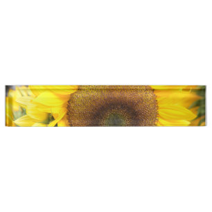 Gorgeous Sunflower Nameplate