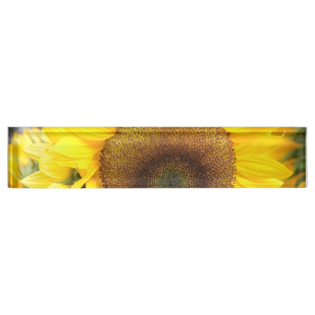 Gorgeous Sunflower Nameplate (Front)