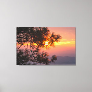 Gorgeous Sunset Viewed Through Pine Branches Canvas Print