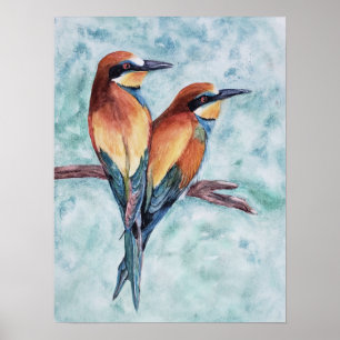 Gorgeous Tropical Birds Poster