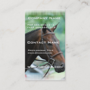 Gorgeous Warmblood Horse Business Card