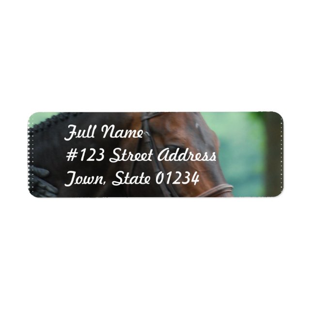 Gorgeous Warmblood Horse Mailing Labels (Front)
