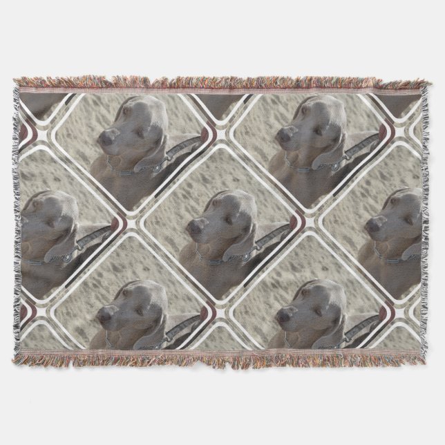Gorgeous Weimaraner Throw Blanket (Front)
