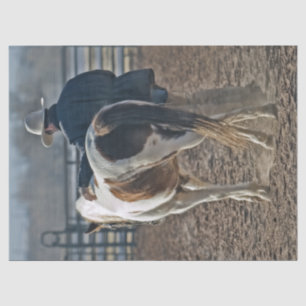 Gorgeous Western Horse Cowboy Bond Tissue Paper