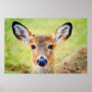 Gorgeous Whitetail Deer Head Watercolor Painting Poster
