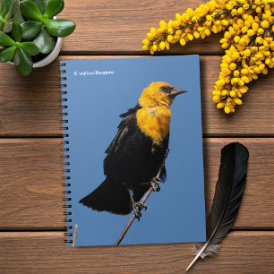 Gorgeous Yellow-Headed Blackbird on a Windy Day Spiral Notebook