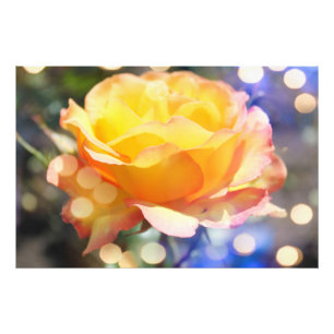 Gorgeous yellow rose flower.  Floral photography Photo Print
