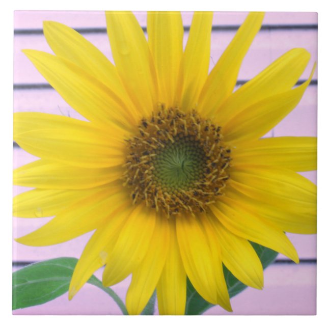 Gorgeous Yellow Sunflower Summer Bloom Tile (Front)