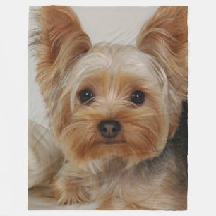 Gorgeous Yorkshire Terrier Fleece Blanket